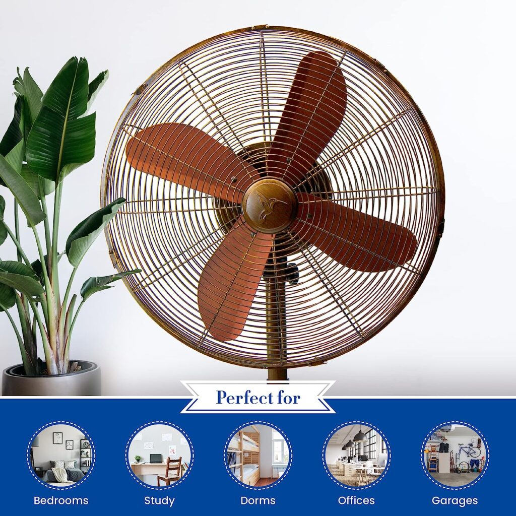 Deco Breeze Oscillating Outdoor Fan with Misting Kit, 3-Cooling Speed Misting Fan with High RPM, Adjustable and Portable Misting Fan, Antique Water Fan, 18 inches